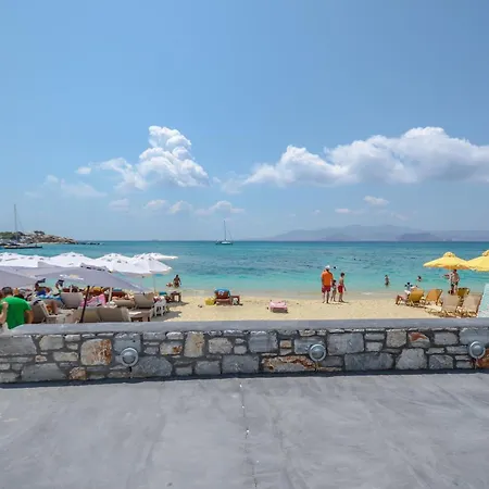 Apartment Naxian Althea *